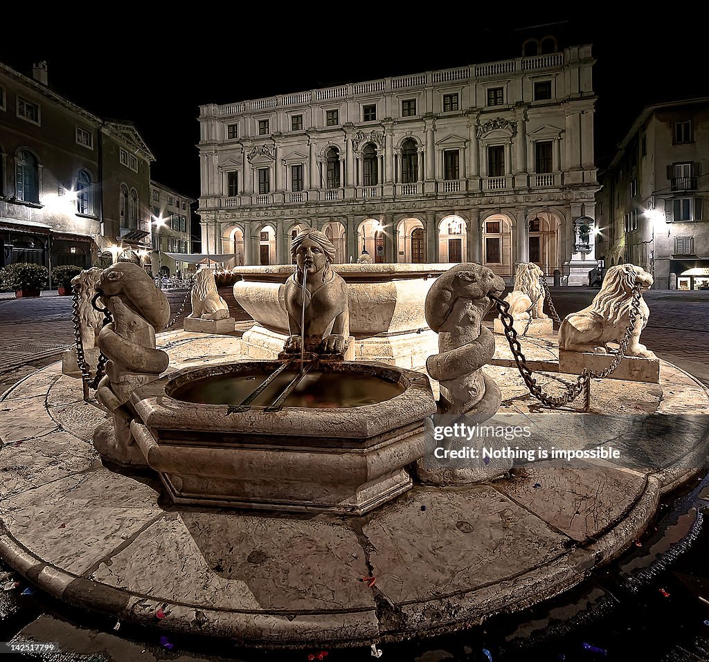 Fountain and public library in  in Bergamo