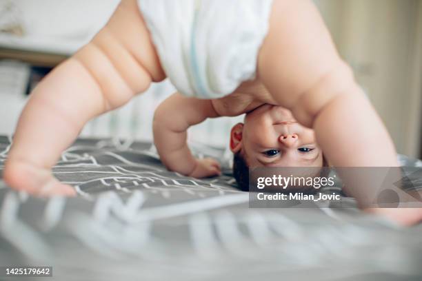 attempting my first steps - cute bums stock pictures, royalty-free photos & images