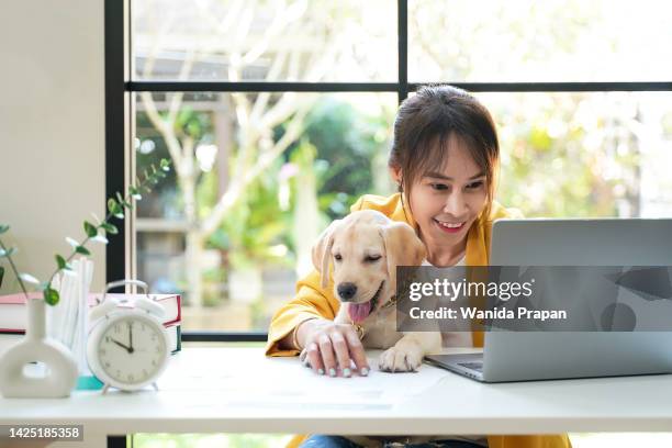 young people work from home with laptop and drinking coffee in morning relax with cut  puppy dog at home. - cut out happy ストックフォトと画像