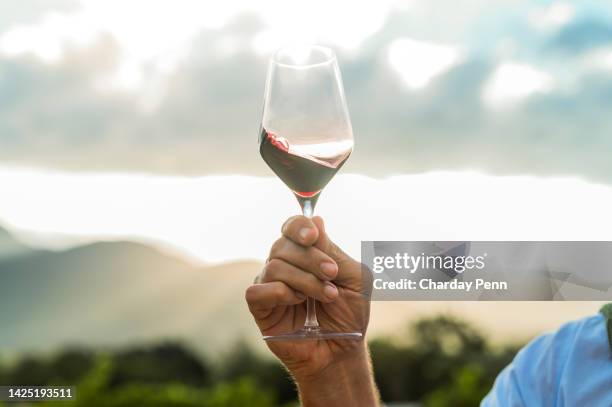 hand with glass of red wine on a countryside vineyard for wine tasting, relax and enjoy peace and beauty at winery. hands of man with alcohol for social luxury drinking on grape farm with sky flare - wine glass stock pictures, royalty-free photos & images
