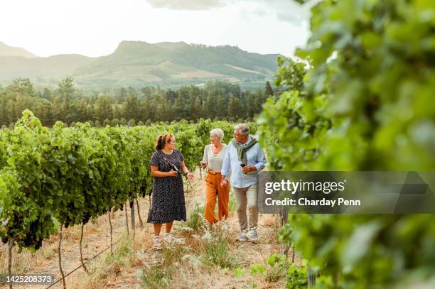 couple and entrepreneur getting tour of a vineyard with woman farmer or leader during vacation. husband and wife enjoying a day on the farm while talking to owner, boss or ceo of wine farm in summer - south africa stock pictures, royalty-free photos & images