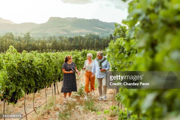 couple and entrepreneur getting tour of a vineyard with woman farmer or leader during vacation. husband and wife enjoying a day on the farm while talking to owner, boss or ceo of wine farm in summer - vinprovning bildbanksfoton och bilder