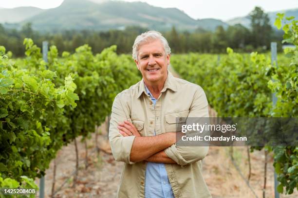 viticulteur sur le champ viticole dans la nature, heureux du mode de vie durable à la ferme agricole et souriant pour la durabilité dans l’industrie de l’alcool. ouvrier agricole heureux avec les bras croisés au travail - agriculteur local photos et images de collection