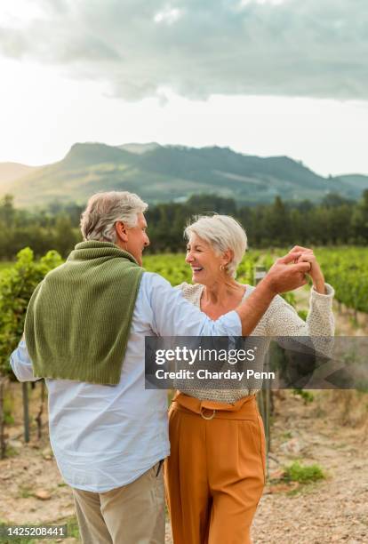 happy elderly couple dancing at vineyard or wine farm, cheerful and positive energy. active husband and wife having fun and bonding in nature. senior man and woman enjoy relationship on outdoor date - idyllic retirement stock pictures, royalty-free photos & images