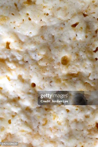 close up of sourdough starter. - lactobacillus stock-fotos und bilder