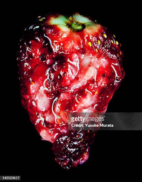 strawberry - fruit decay stockfoto's en -beelden