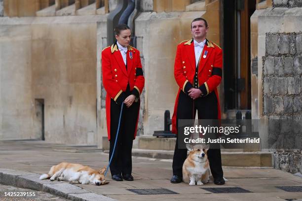 Members of the Royal Household with the two royal Corgis on September 19, 2022 in Windsor, England. The committal service at St George's Chapel,...