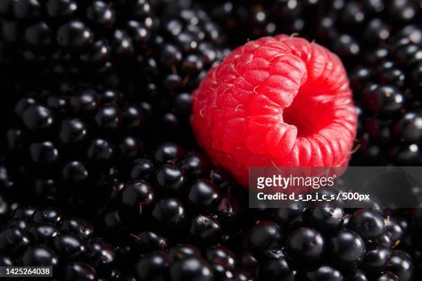close-up of berries on berries - images stock pictures, royalty-free photos & images