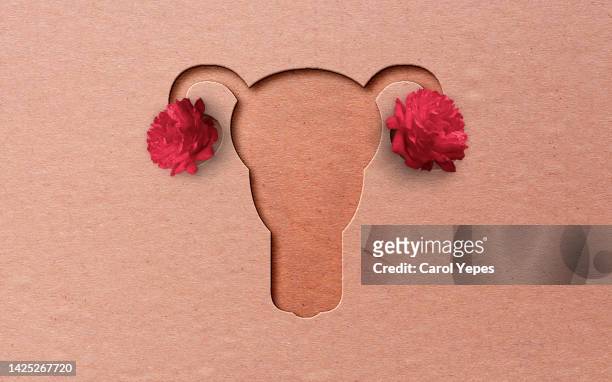 uterus un paper work.pink background - endometrio foto e immagini stock