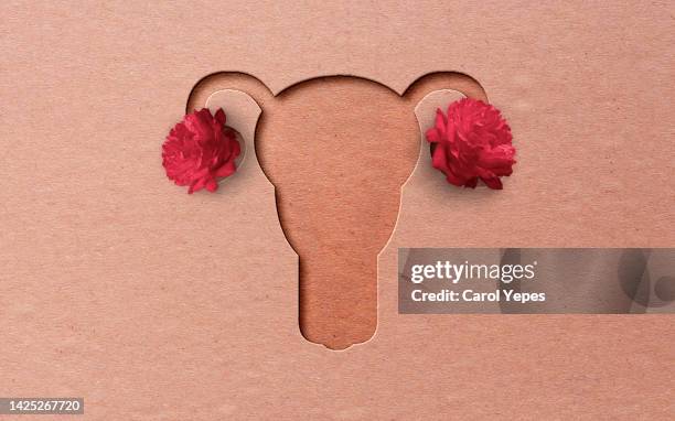 uterus un paper work.pink background - female reproductive organ stock pictures, royalty-free photos & images