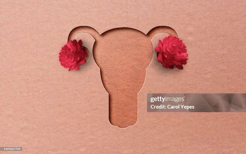 Uterus un paper work.Pink background