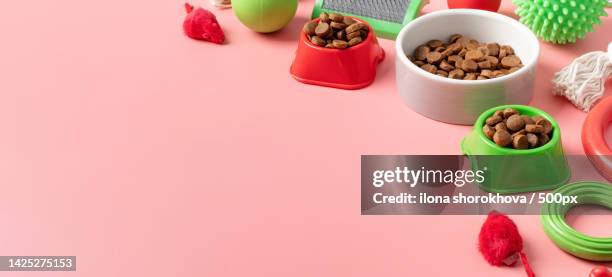 pet care concept,various pet accessories and tools on pink background,high angle view - pet food stock pictures, royalty-free photos & images