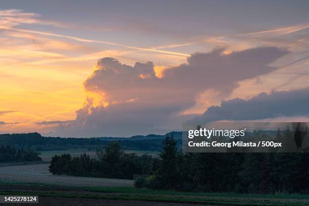 scenic view of field against sky during sunset,germany - kontrastreich stock pictures, royalty-free photos & images