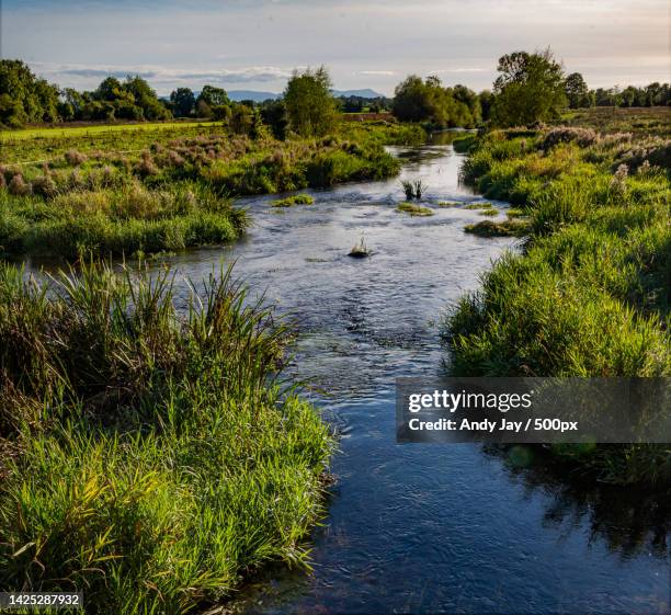 scenic view of river amidst trees against sky,cashel,ireland - cashel stock pictures, royalty-free photos & images