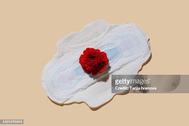 menstrual pad with red flower on beige background. menstruation cycle period, woman hygiene and comfort concept. - sports period stock pictures, royalty-free photos & images