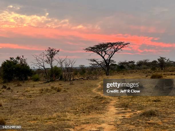 sunset in south africa - provinsen limpopo bildbanksfoton och bilder