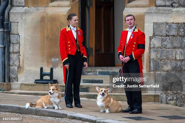 Members of the Royal Household stand with the Queen's royal Corgis, Muick and Sandy as they await the wait for the funeral cortege on September 19,...