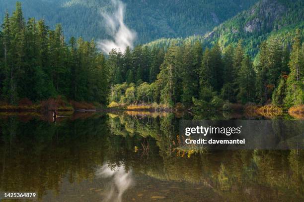 riflessi del lago vicino a tofino bc - tofino foto e immagini stock