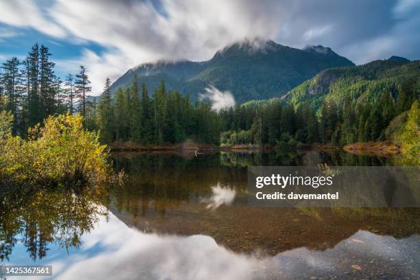 lake reflections near tofino bc - mountain ridge stock pictures, royalty-free photos & images