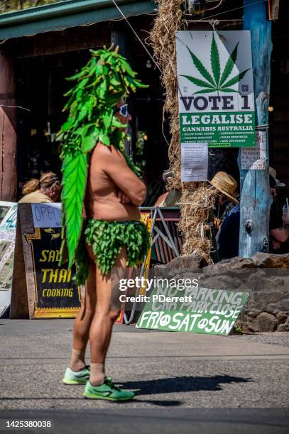 ganga man, dressed as a cannabis plant before the parade. - drug reform stock pictures, royalty-free photos & images