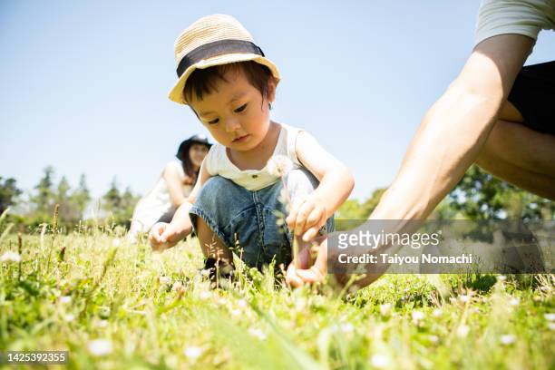 a mother watches behind her and a father helps a one-year-old boy looking for dandelions in a park. - asian kid raising hand bildbanksfoton och bilder