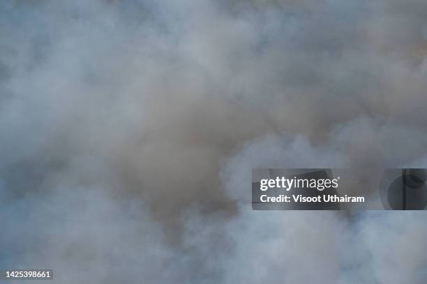 white smoke on background,smoke,close up swirling white smoke. - brume fond noir photos et images de collection