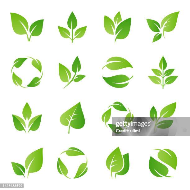 ilustrações de stock, clip art, desenhos animados e ícones de leaves icons set - deciduous tree