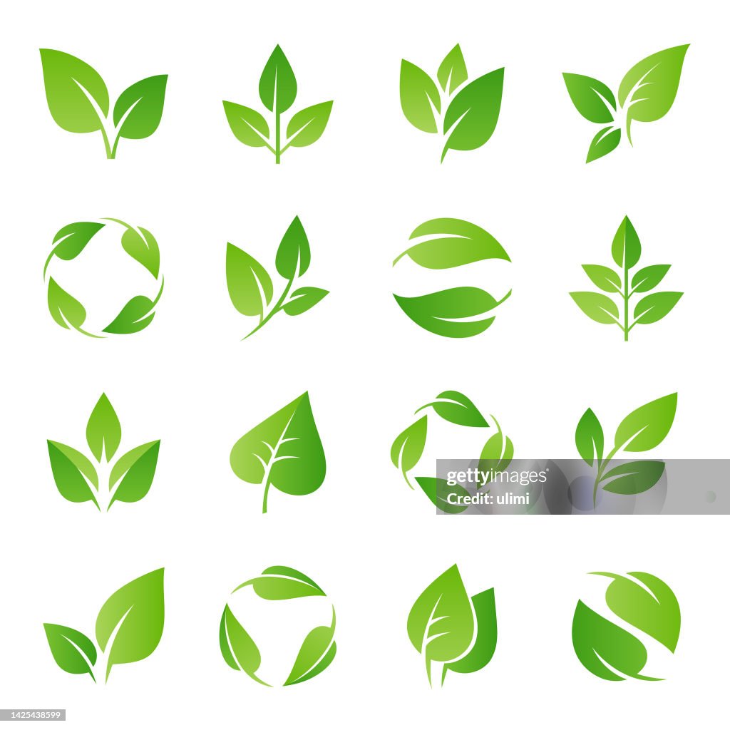 Leaves icons set