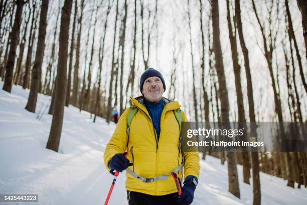 senior man hiking in winter forest. - senior winter sport stock pictures, royalty-free photos & images