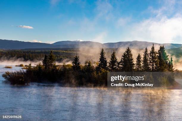 klondike - whitehorse yukon stock pictures, royalty-free photos & images