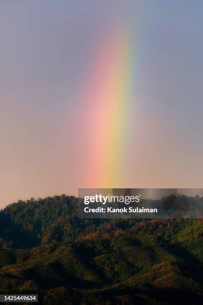 rainbow after a storm on a blue sky over forest on mountain - rainbow forrest abstract bildbanksfoton och bilder