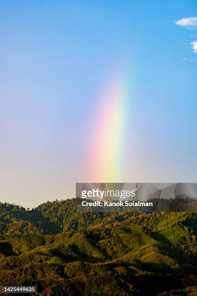 rainbow after a storm on a blue sky over forest on mountain - rainbow forrest abstract bildbanksfoton och bilder