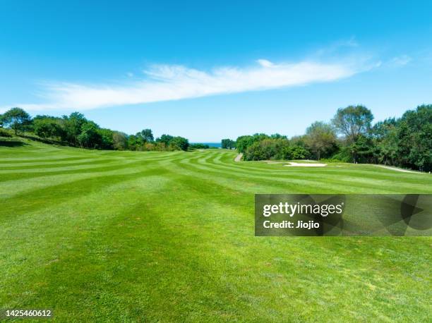 lawn in the park - golfbana bildbanksfoton och bilder