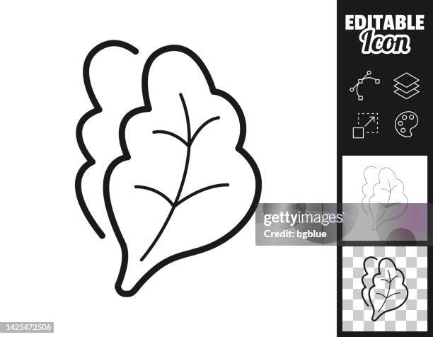 lettuce. icon for design. easily editable - lettuce stock illustrations