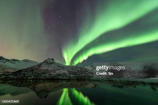 northern lights, aurora borealis over the lofoten islands in northern norway during winter - lofoten och vesterålen bildbanksfoton och bilder