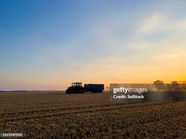 tractor transporting the crop - field stubble stock pictures, royalty-free photos & images