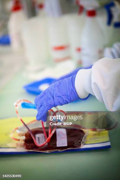 biobank stem cells - umbilical cord stock pictures, royalty-free photos & images