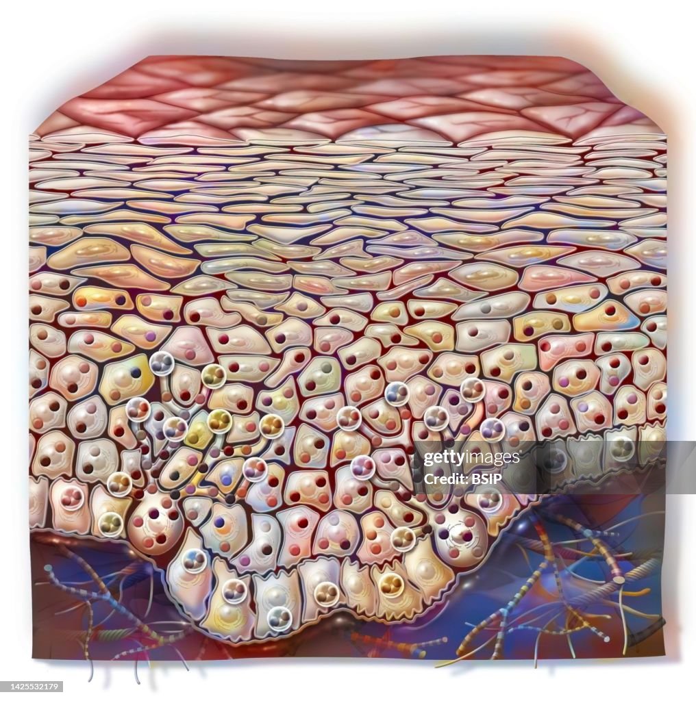 Skin drawing