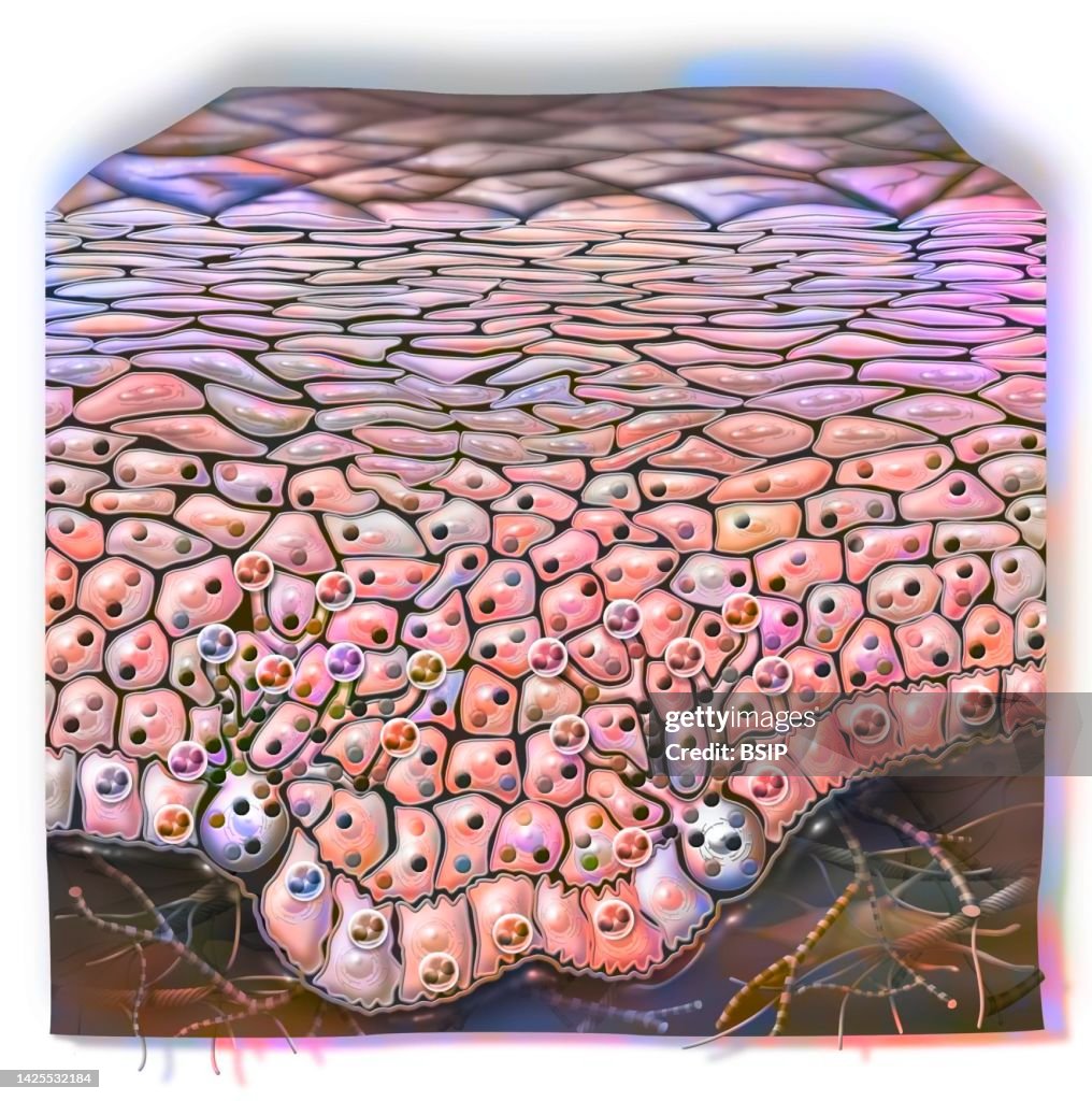 Skin drawing