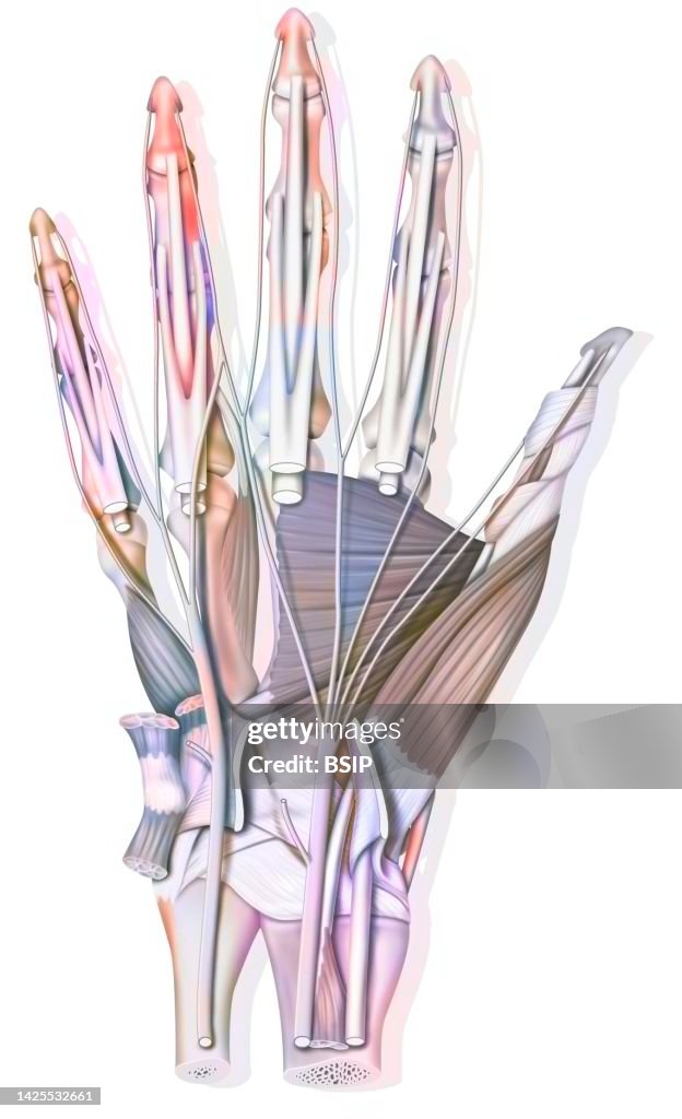 Hand drawing