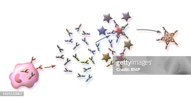 immunity drawing - plasma cell stock illustrations