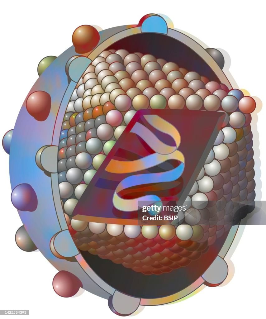 Hcv Pic Hepatitis C Virus Drawing High-Res Vector Graphic - Getty Images