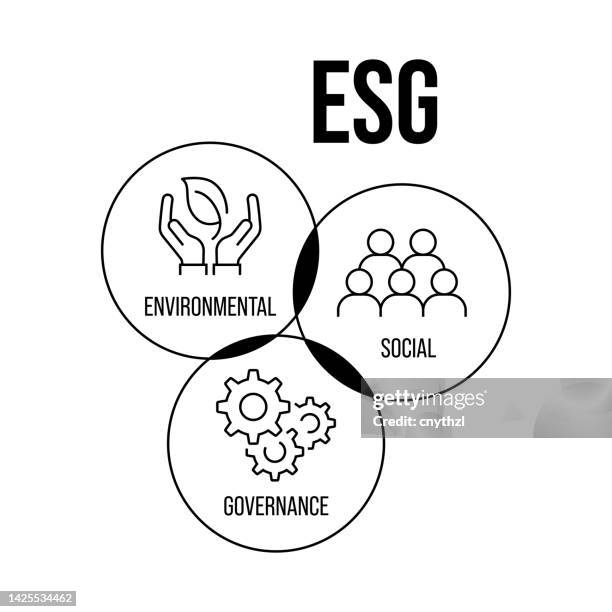 Esg Icona 301 Esg Icon High Res Illustrations - Getty Images