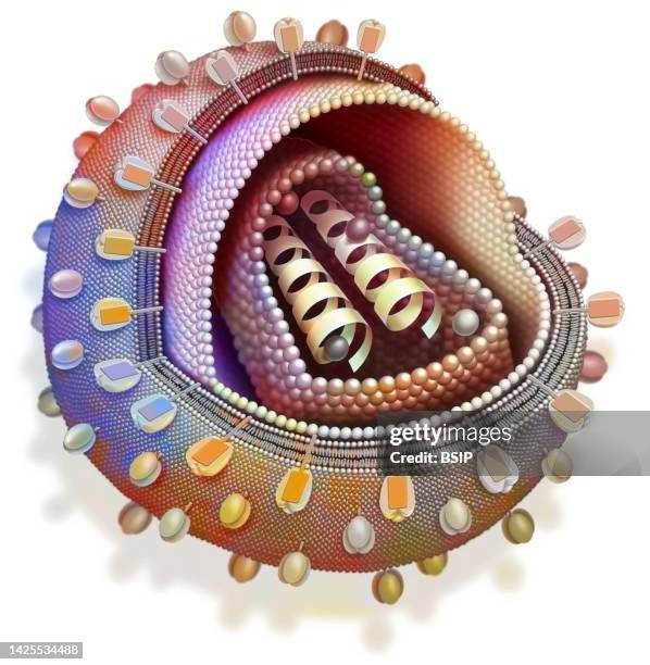 aids virus drawing - reverse transcriptase stock illustrations