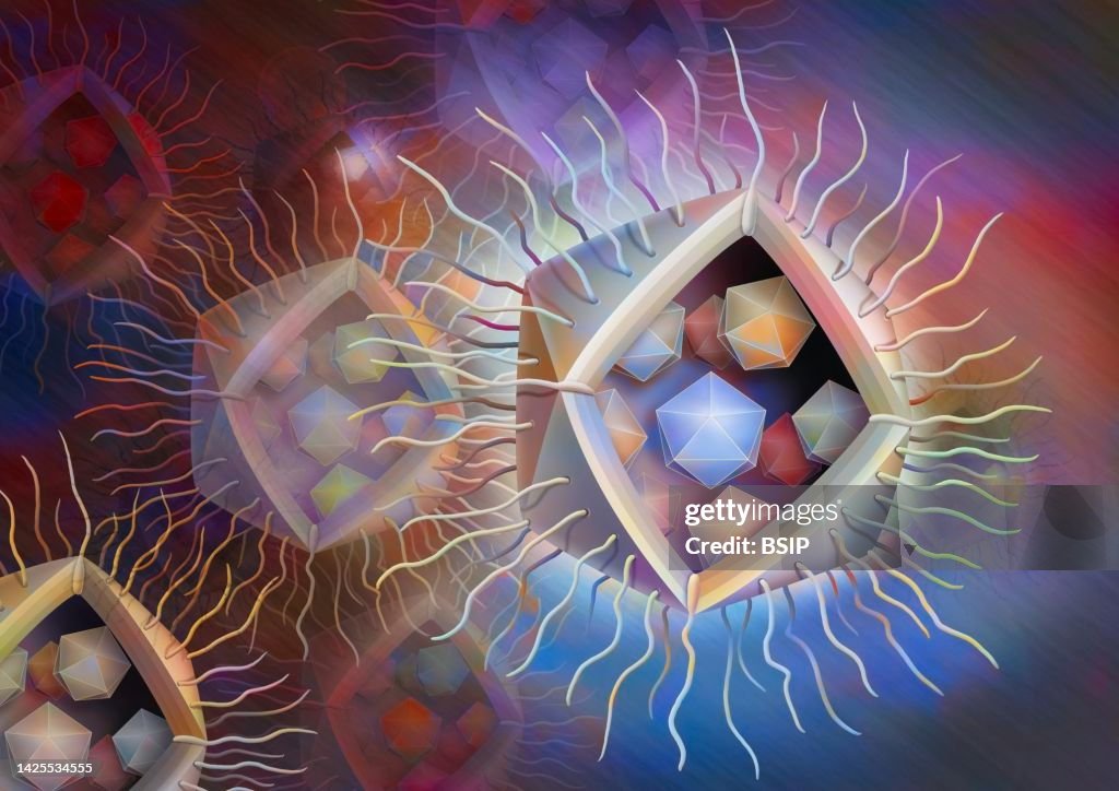 Virophage