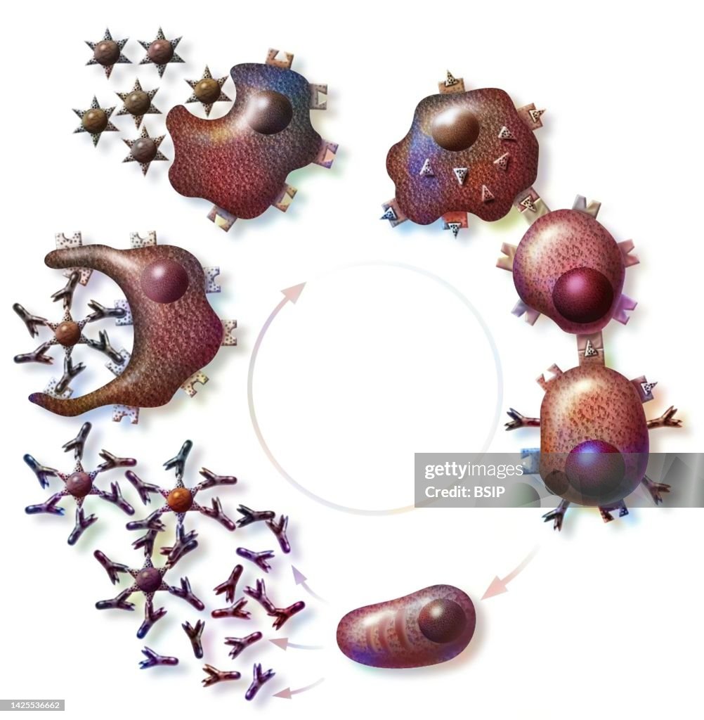 Immunology