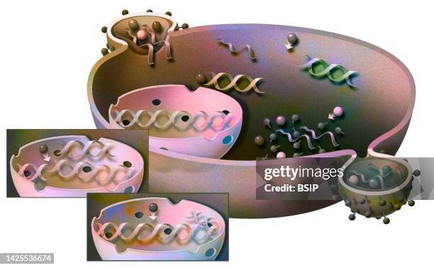 aids virus infection drawing - reverse transcriptase stock illustrations