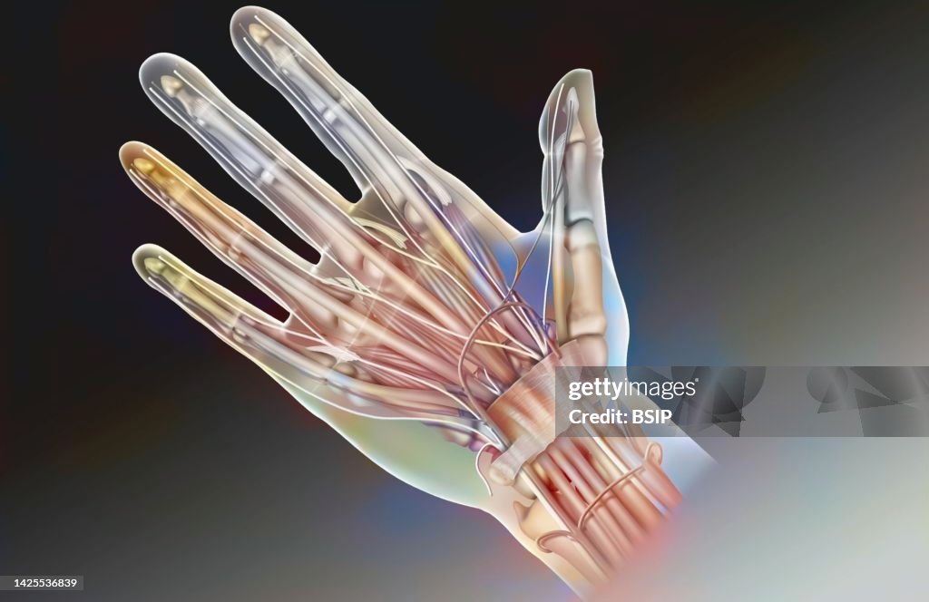 Hand drawing