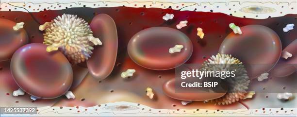 blood vessel drawing - serum stock illustrations