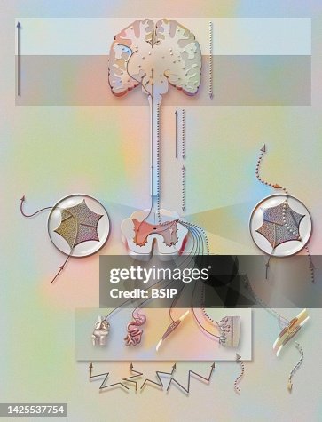 Pain Treedraw Pain Drawing High-Res Vector Graphic - Getty Images